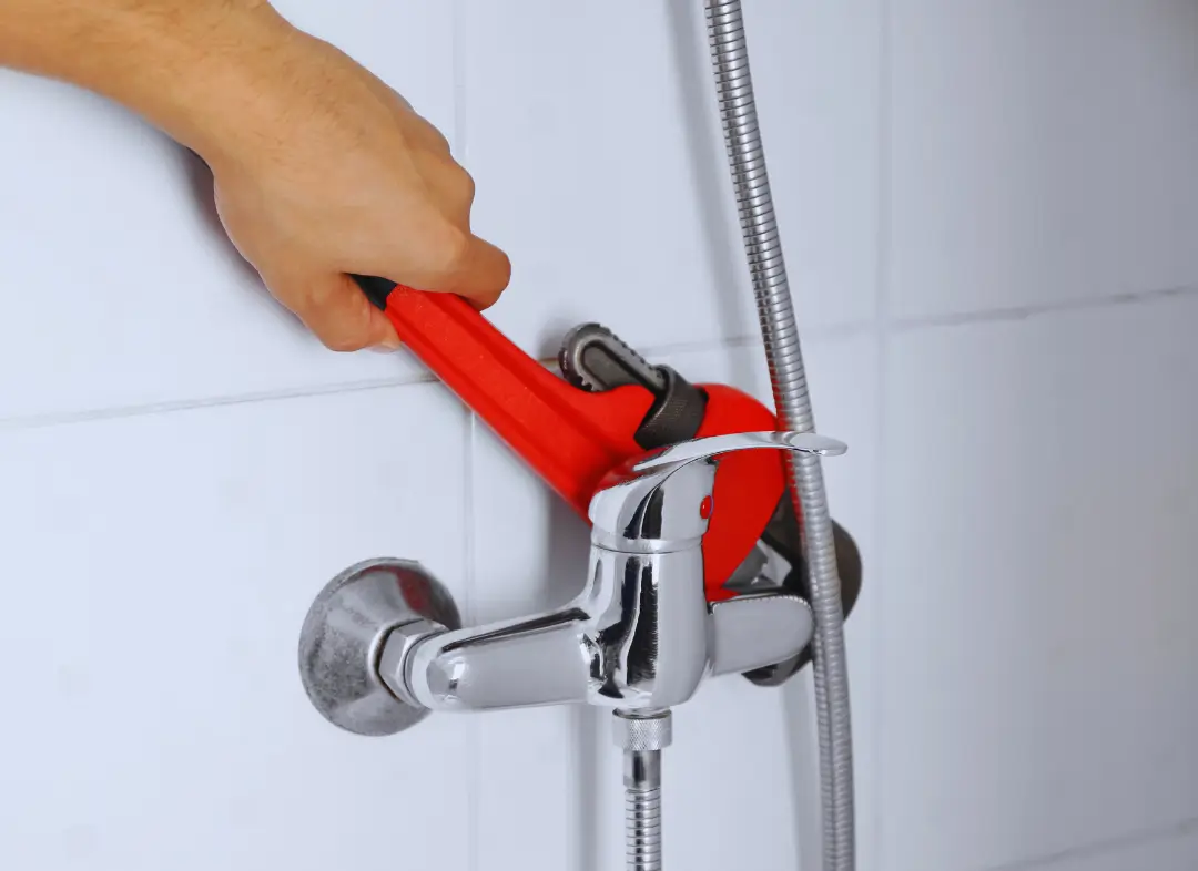 Mitigeur Thermostatique douche Reignier-Ésery