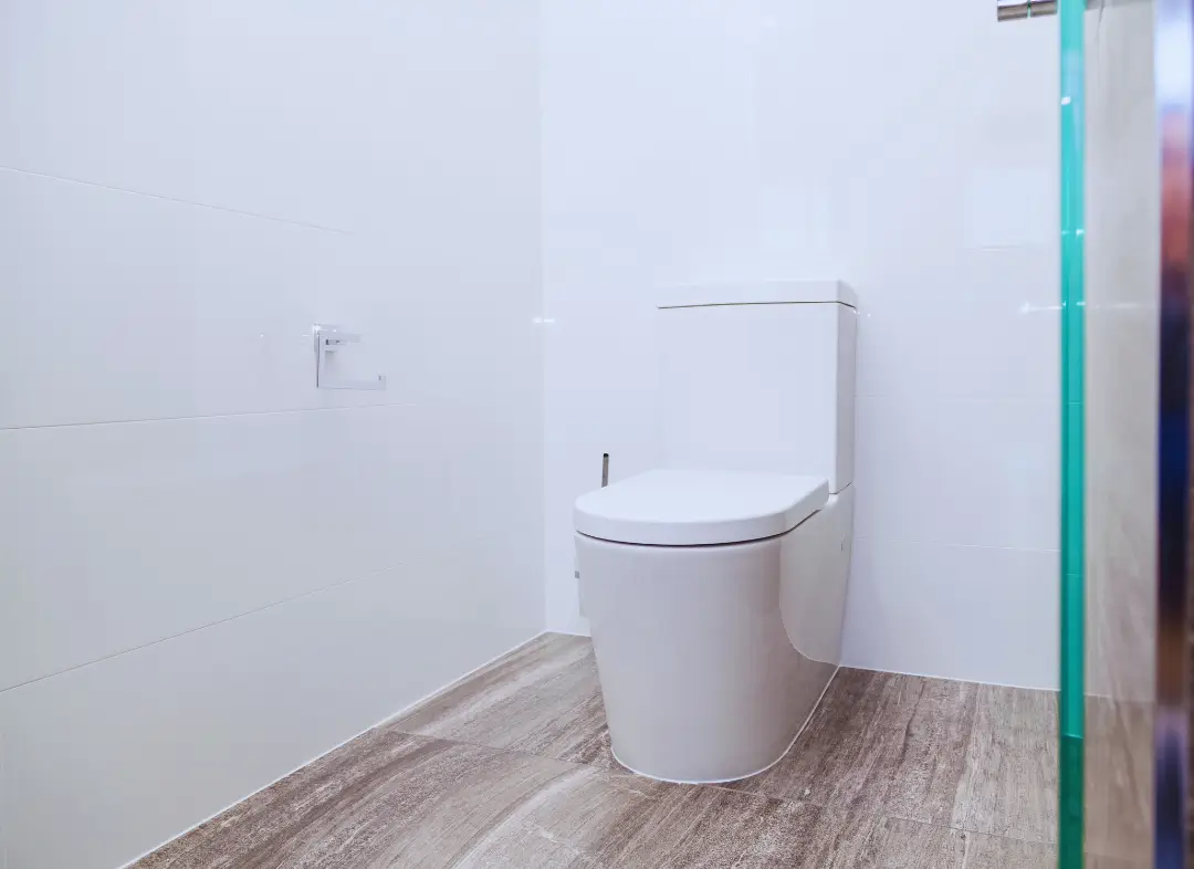 Remplacement de wc Reignier-Ésery