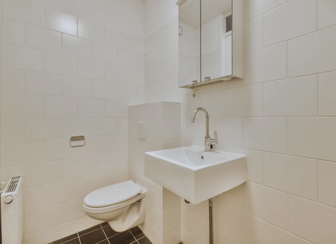 Pose WC Suspendu Reignier-Ésery